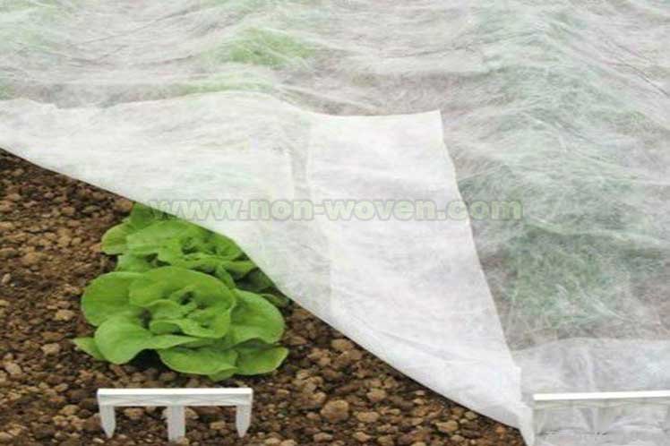non woven fabric used in agriculture
