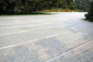 Non Woven Fabric Used In Agriculture
