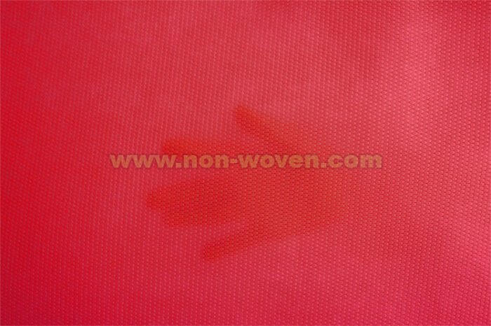 Wrapping Paper