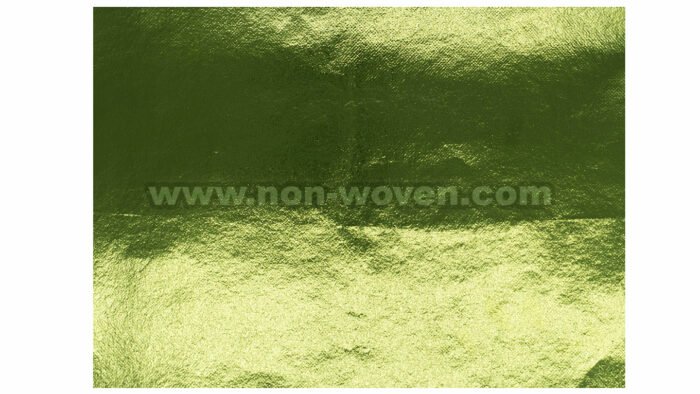 Pet-Laminated-Nonwoven-Apple-Green-2