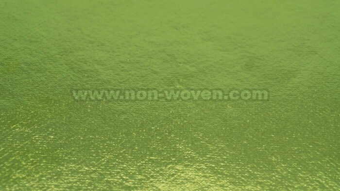 Pet-Laminated-Nonwoven-Apple-Green-4