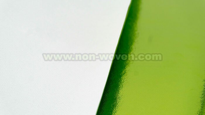 Pet-Laminated-Nonwoven-Apple-Green-7