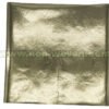 Pet-Laminated-Nonwoven-Golden-(1) Pet-Laminated-Nonwoven-Golden-1