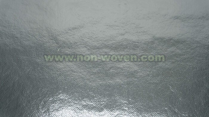 Pet-Laminated-Nonwoven-Silver-3