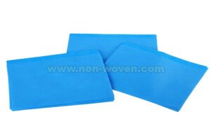 BWet-Laid Nonwoven Products