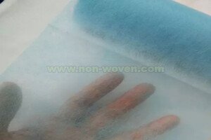 Is Spunlace Non Woven fabric biodegradable