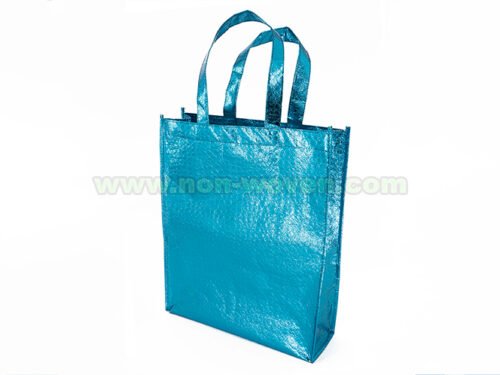Laminated Non woven Bag Blue