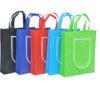 Versatile Eco-friendly Foldable Non woven Bag