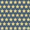 Star Patterns Non woven Printed Fabric